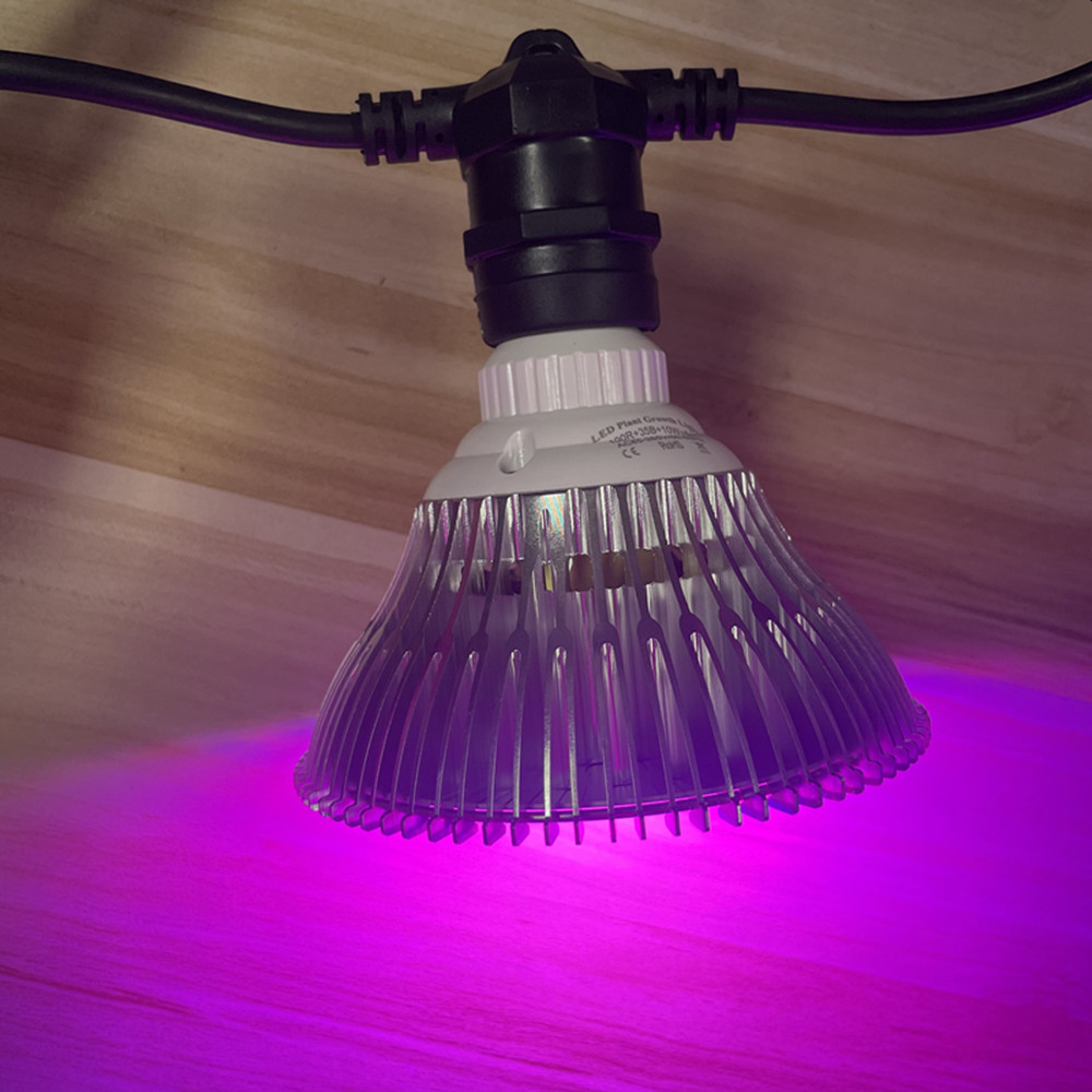 10M Kabel LED, komercyjna jako – Outdoor Lighting Quality recenzja i cena
